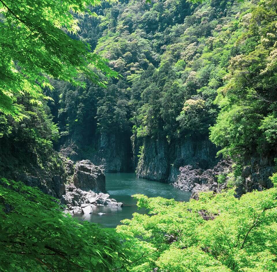 写真:十津川の風景