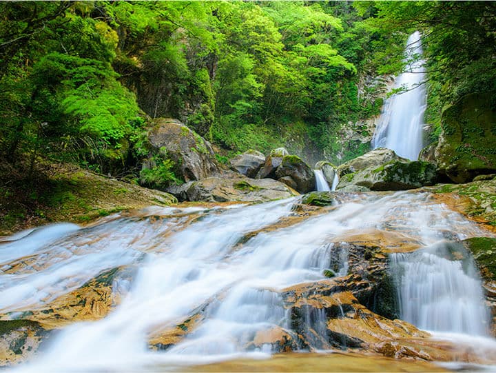 写真：清納の滝